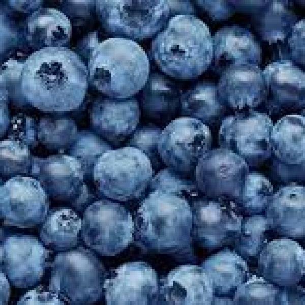 Blueberry