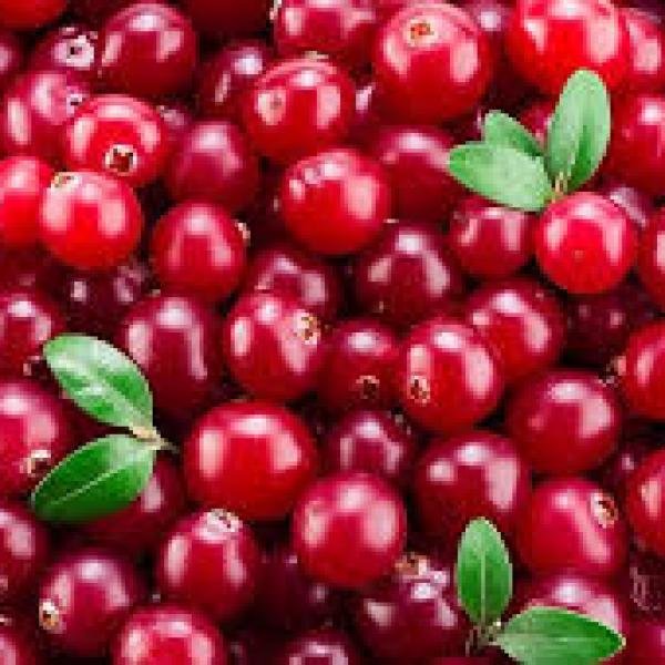 Cranberry